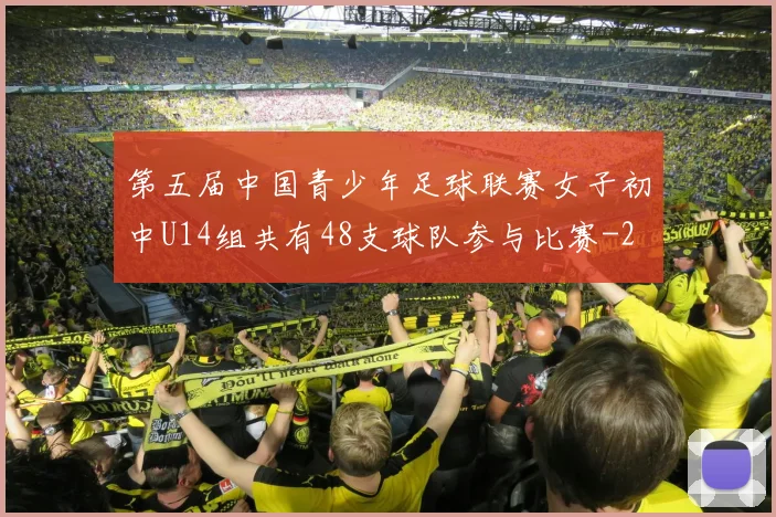 第五届中国青少年足球联赛女子初中U14组共有48支球队参与比赛