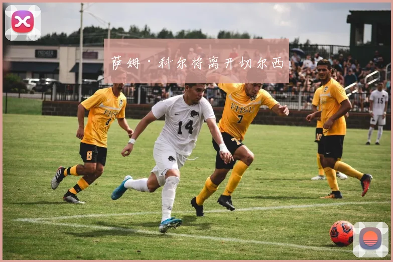 萨姆·科尔将离开切尔西
