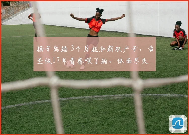 杨子离婚 3个月就和新欢产子，黄圣依17年青春喂了狗，体面尽失