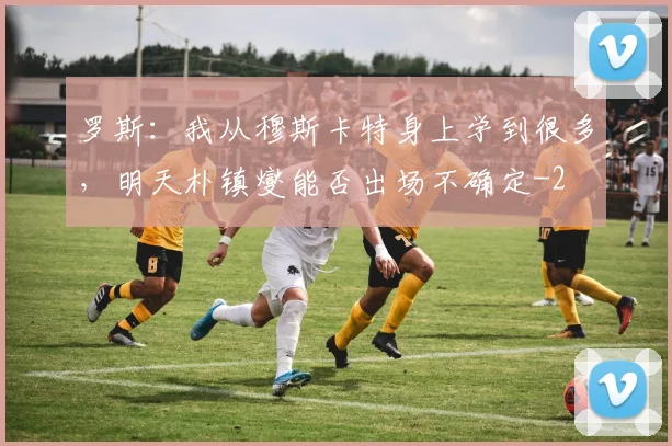 罗斯：我从穆斯卡特身上学到很多，明天朴镇燮能否出场不确定