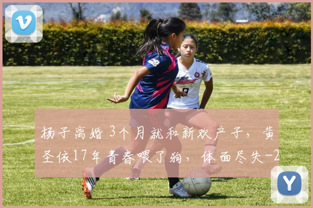 杨子离婚 3个月就和新欢产子，黄圣依17年青春喂了狗，体面尽失